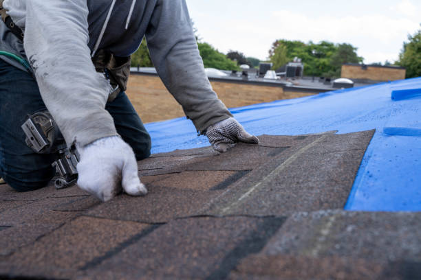 Best Roof Ventilation Installation  in Atwater, MN